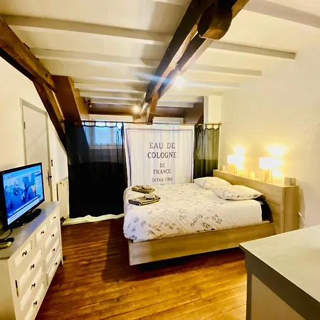 Un Coin De Bigorre - T2 De Campagne - Canal & Netflix - Wifi Fibre - Centre Village