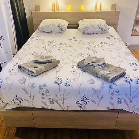 Un Coin De Bigorre - T2 De Campagne - Canal & Netflix - Wifi Fibre - Centre Village