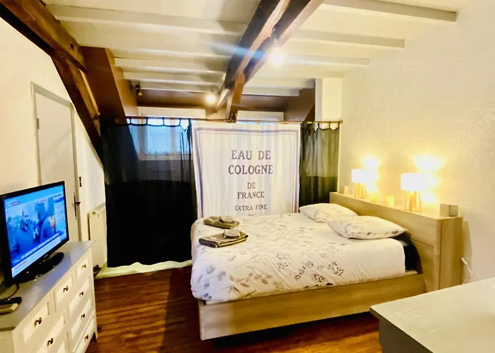 Un Coin De Bigorre - T2 De Campagne - Canal & Netflix - Wifi Fibre - Centre Village